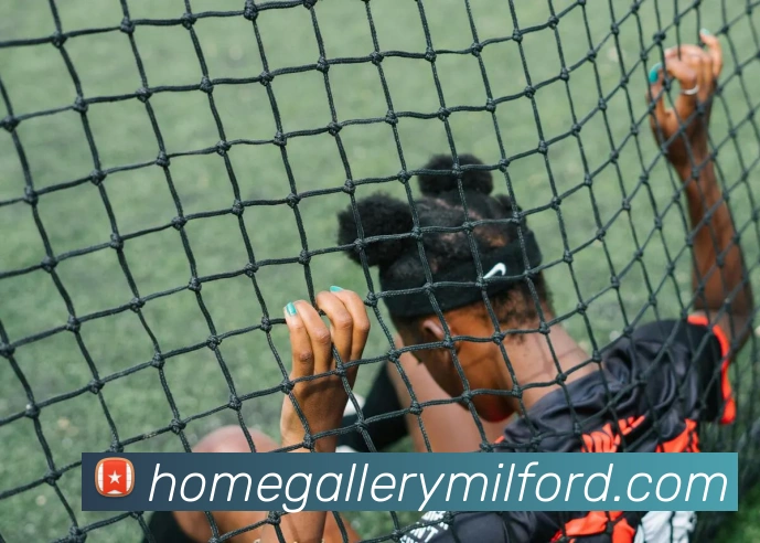 多媒体互动体验